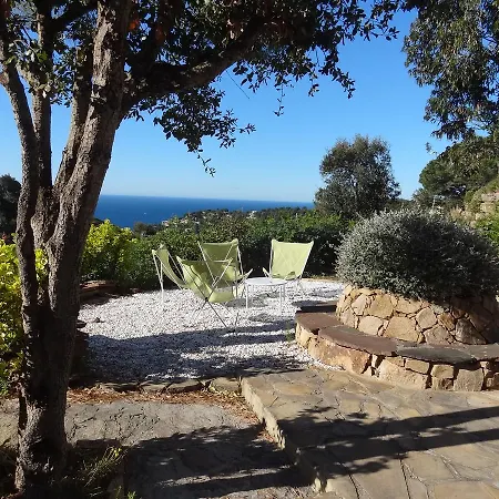 Danlux Palmera Holiday home *
