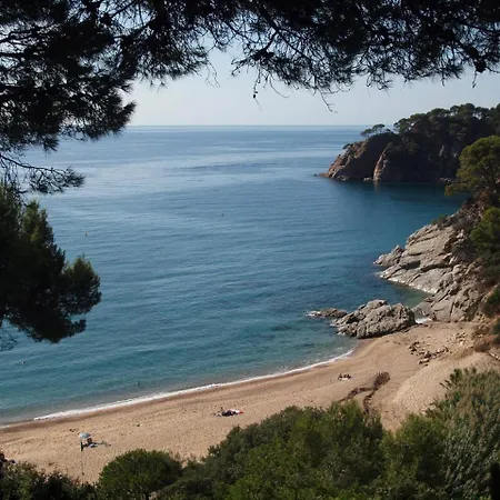 Danlux Palmera Holiday home